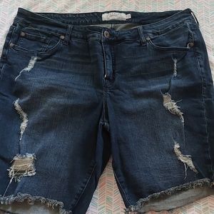 Torrid jean shorts